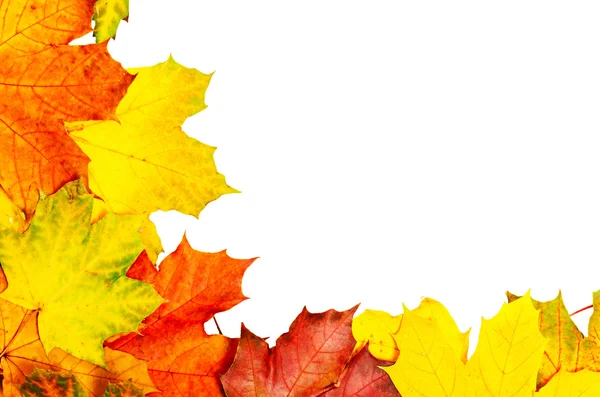 Quadro de folhas de outono — Fotografia de Stock