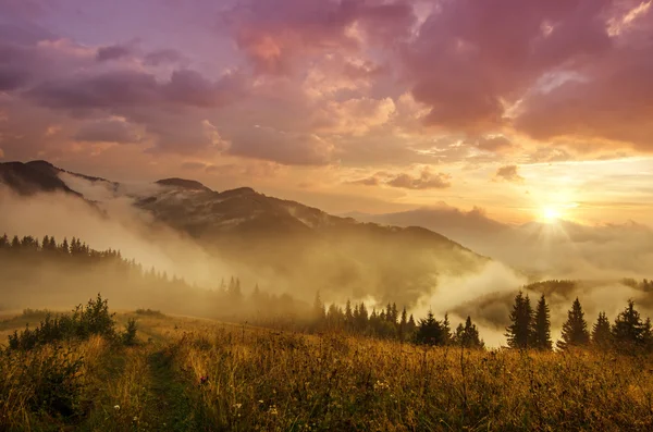 Foggy paesaggio mattutino — Foto Stock