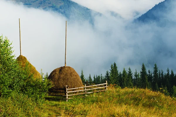 Горный пейзаж с стогами сена — стоковое фото