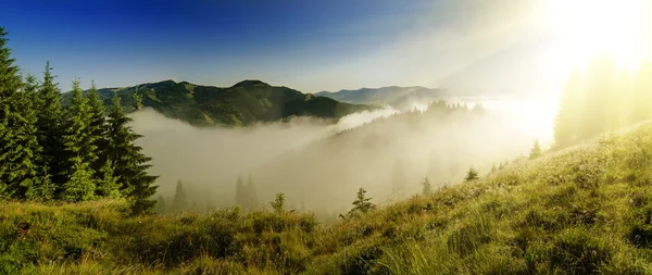 Niebla paisaje matutino — Foto de Stock