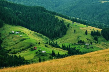 Karpat dağ manzarası ile ağaç