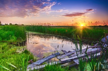 kırsal yaz gündoğumu