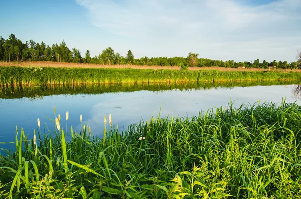 Paysage rural d'été avec rivière — Photo