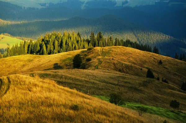 Cárpatos montanha ensolarada paisagem — Fotografia de Stock
