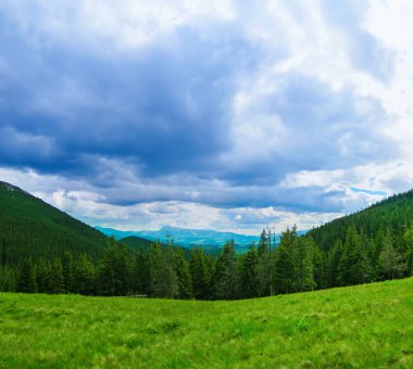 Karpatya dağ manzarası