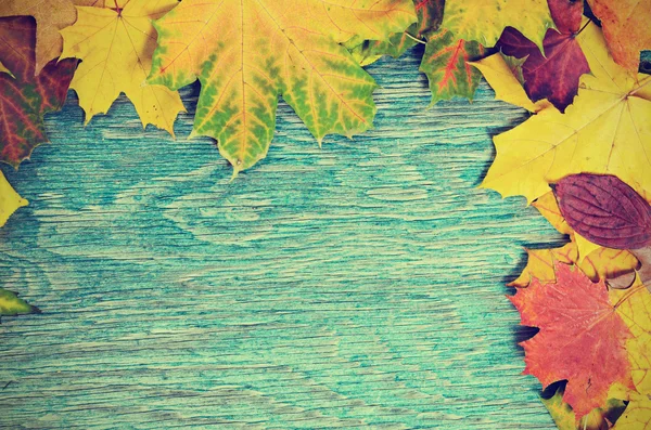 秋季帧 — 图库照片