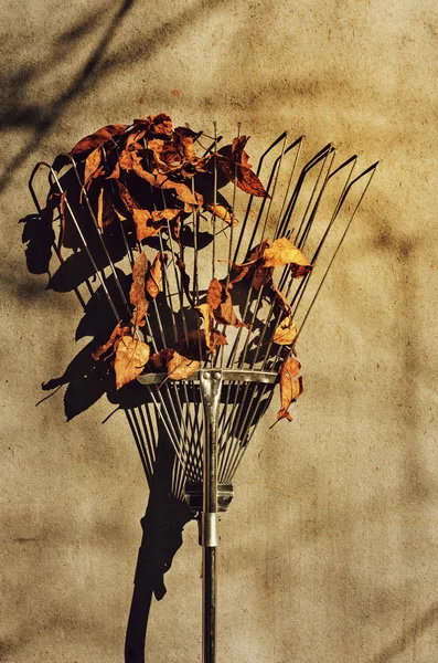 Herbstbesen mit Blättern — Stockfoto
