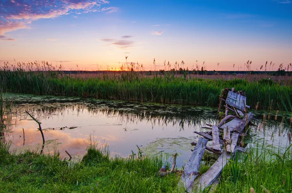 Rural zomer zonsopgang — Stockfoto
