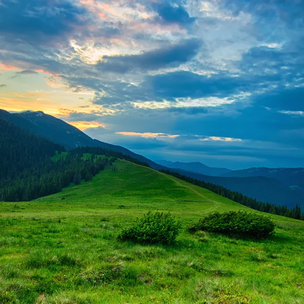 Paesaggio montano dei Carpazi — Foto Stock