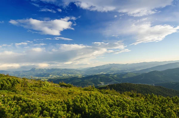 Karpatya dağ manzarası — Stok fotoğraf