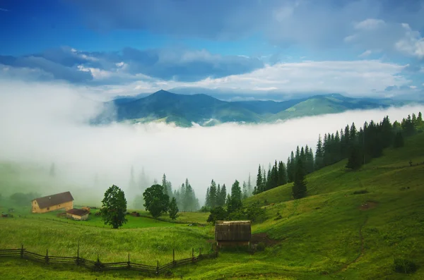 Mlhavá ranní krajina — Stock fotografie