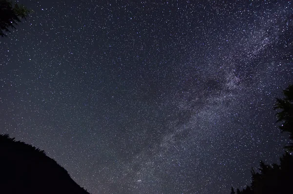 Cielo estrellado — Foto de Stock