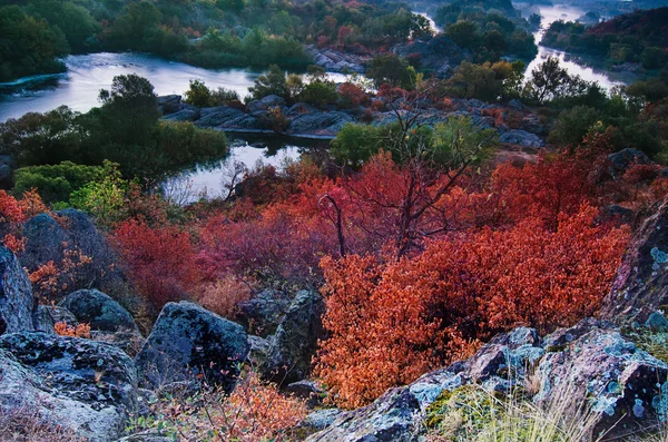 Před východem slunce — Stock fotografie