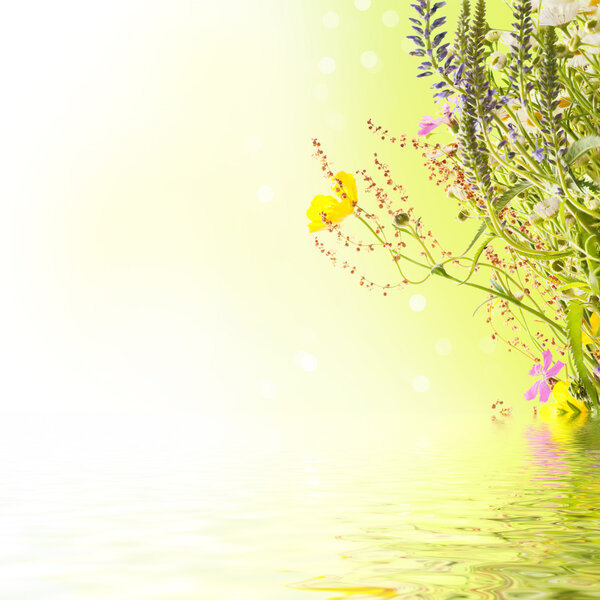 Bouquet of summer meadow flowers with bokeh water reflection and copy space, floral background