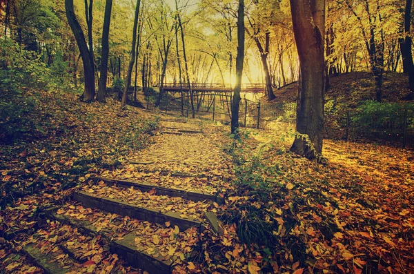 Parque soleado de otoño — Foto de Stock