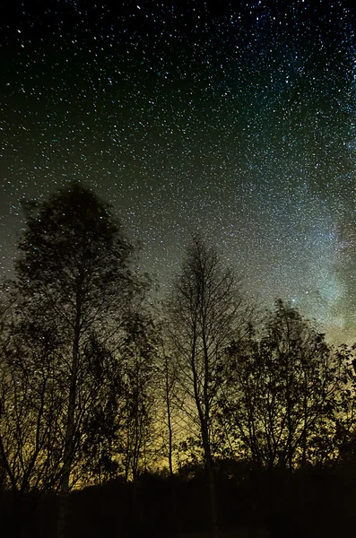 Cielo estrellado — Foto de Stock