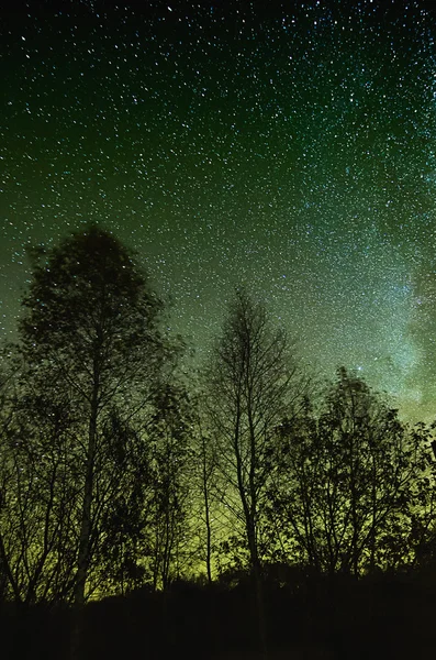 Cielo stellato — Foto Stock