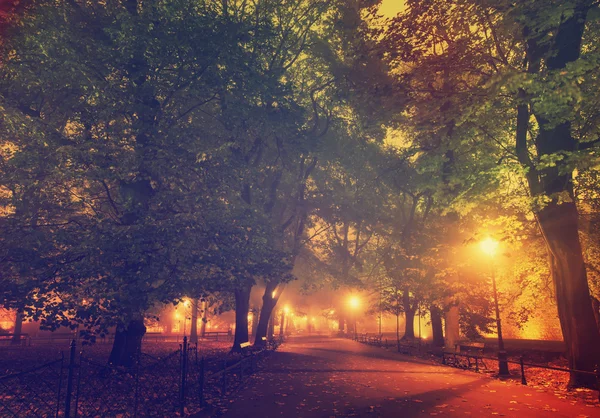 Parque de la ciudad europea por la noche — Foto de Stock