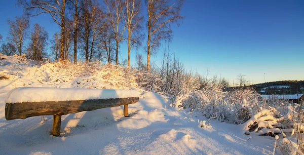 Paisaje de invierno con banco de madera —  Fotos de Stock
