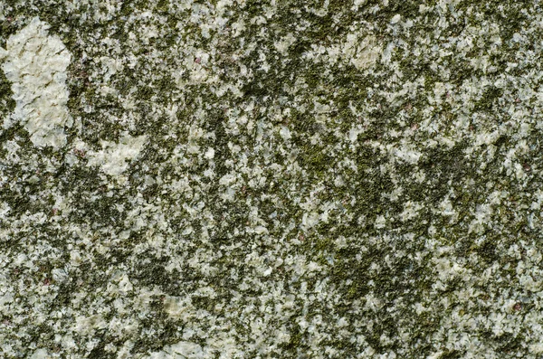 Texture in granito con MOSS — Foto Stock