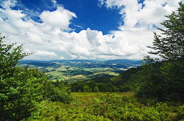 Paisaje montañoso Cárpatos —  Fotos de Stock