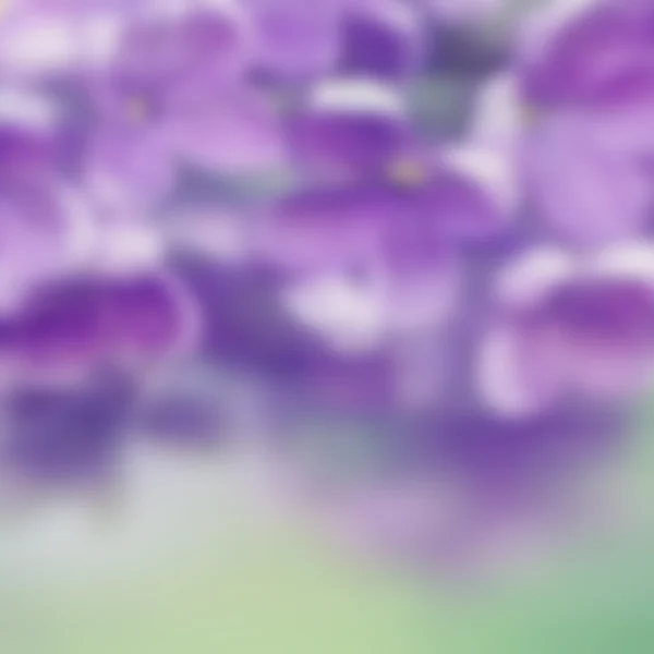 Abstract floral background — Stock Photo, Image