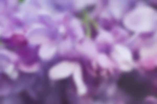 Astratto sfondo floreale — Foto Stock