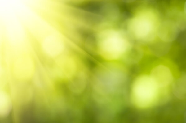 Природный боке
