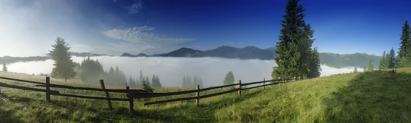 Niebla paisaje matutino — Foto de Stock