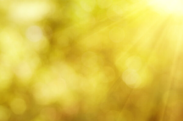 Естественный осенний боке
