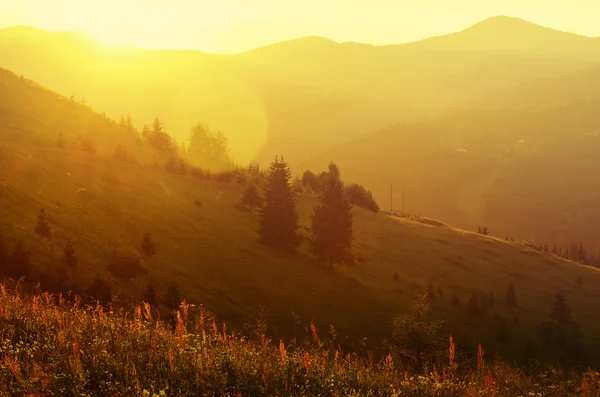 Berg sunset — Stockfoto
