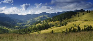 Karpatya dağ manzarası