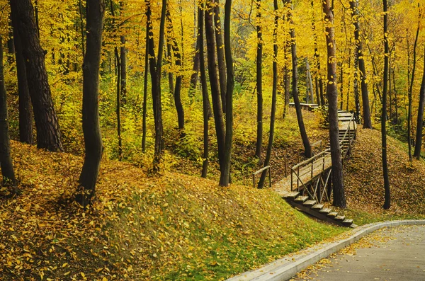 Parque soleado de otoño — Foto de Stock