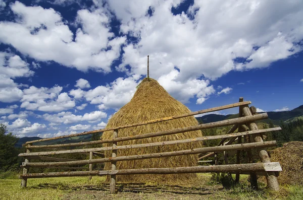 Haystack in the field — Stock Photo, Image