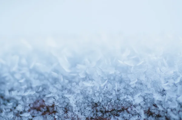 Fondo helado de invierno — Foto de Stock