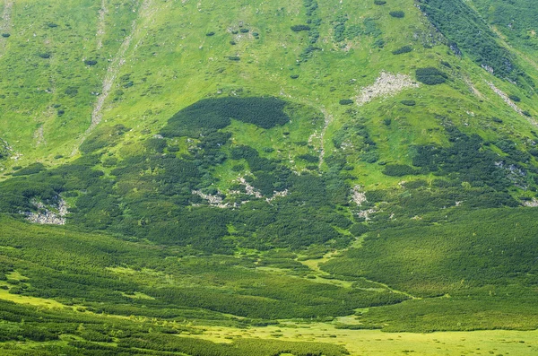 Green mountain background — Stock Photo, Image