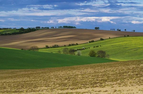 Rural spring landscape — Stock Photo, Image