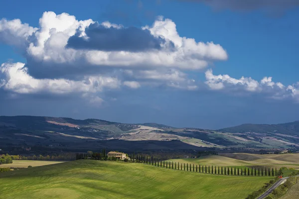 Rural spring landscape — Stock Photo, Image