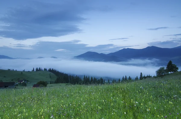 Foggy paesaggio mattutino — Foto Stock