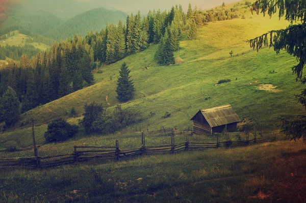 Mountain summer landscape — Stock Photo, Image