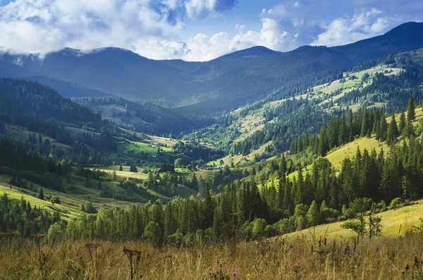 Karpaten berglandschap — Stockfoto