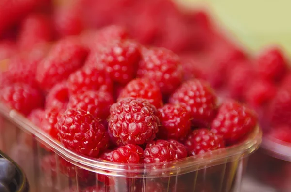 Frische Himbeeren auf dem Markt — Stockfoto