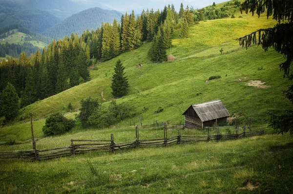 Mountain summer landscape — Stock Photo, Image