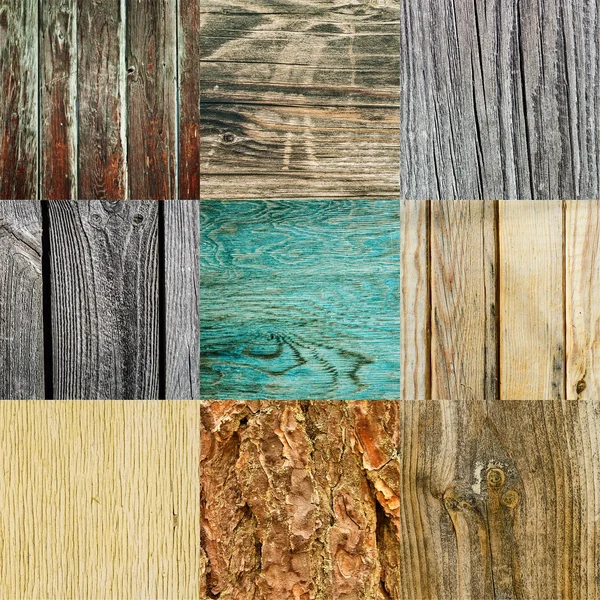 Wooden texture collection — Stock Photo, Image