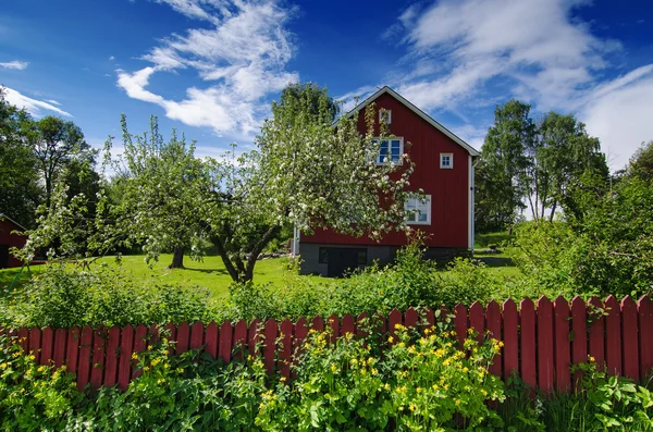 Jardin traditionnel scandinave — Photo