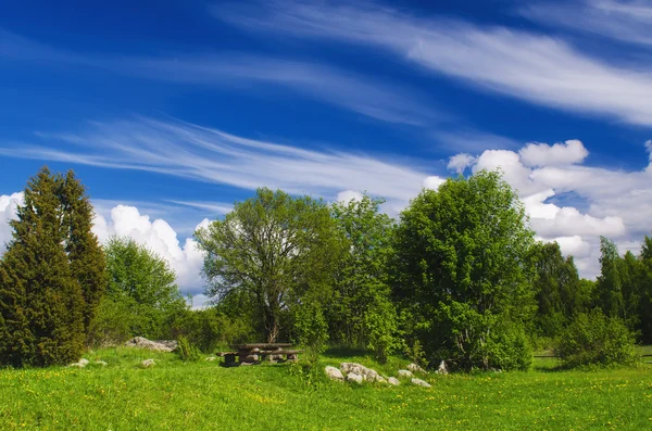 Slunný park s místem pro odpočinek — Stock fotografie