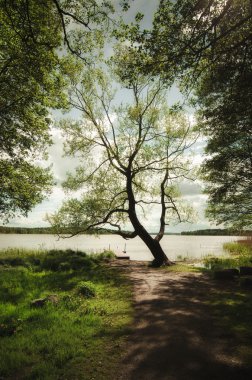 İskandinav güzel manzara
