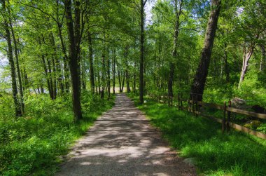 İz ile güneşli park