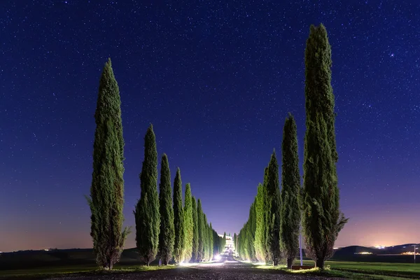 Noche Toscana paisaje — Foto de Stock