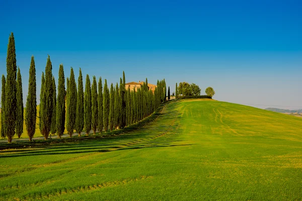 Toscane typisch landschap — Stockfoto